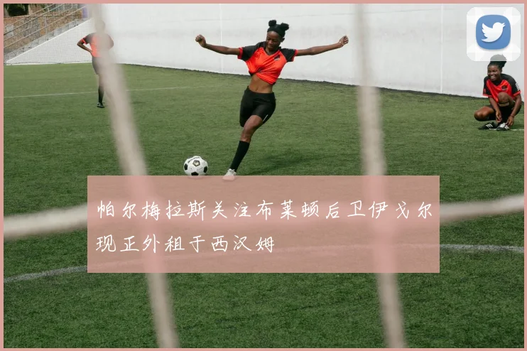 帕尔梅拉斯关注布莱顿后卫伊戈尔现正外租于西汉姆