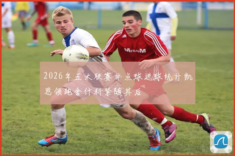 2026年五大联赛非点球进球统计凯恩领跑舍什科紧随其后